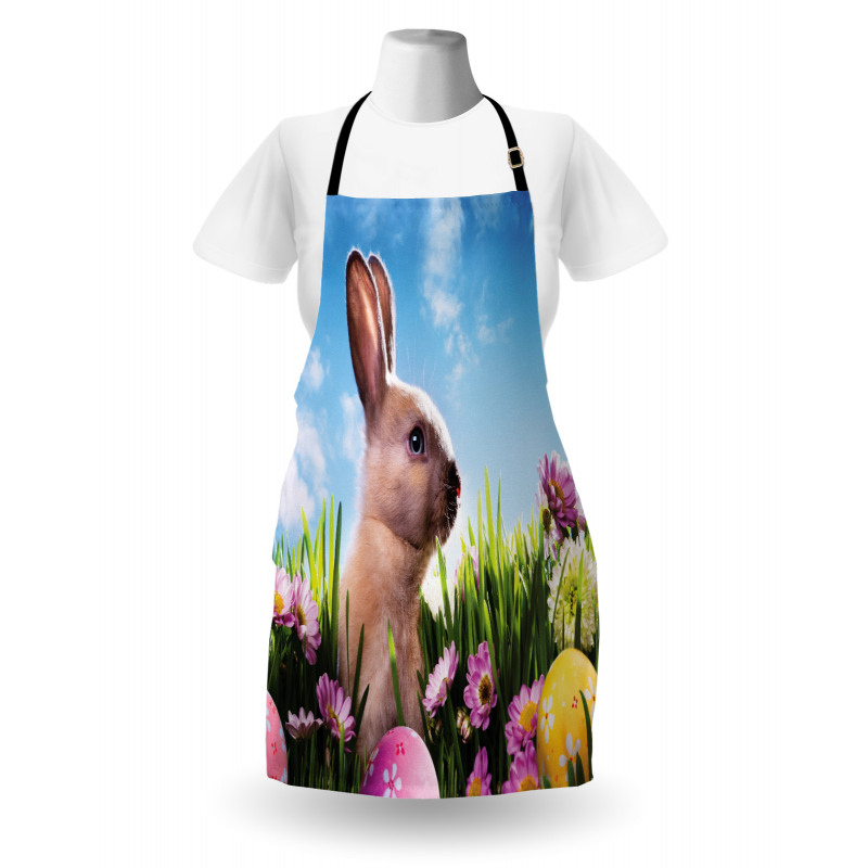 Paskalya Mutfak Önlüğü Boyalı Yumurtaların Arasında Tavşan Model