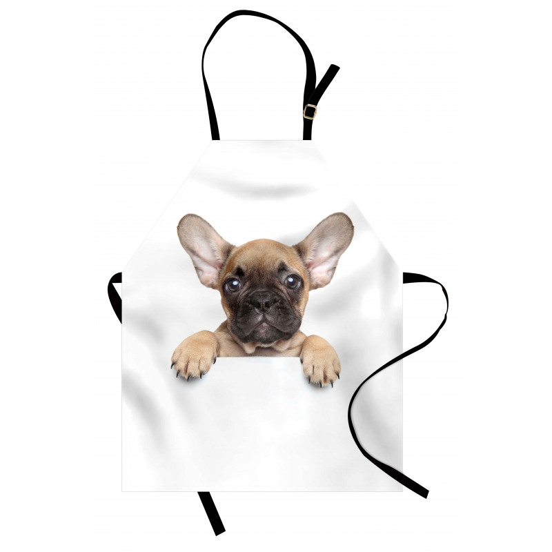 Pedigreed Young Puppy Apron