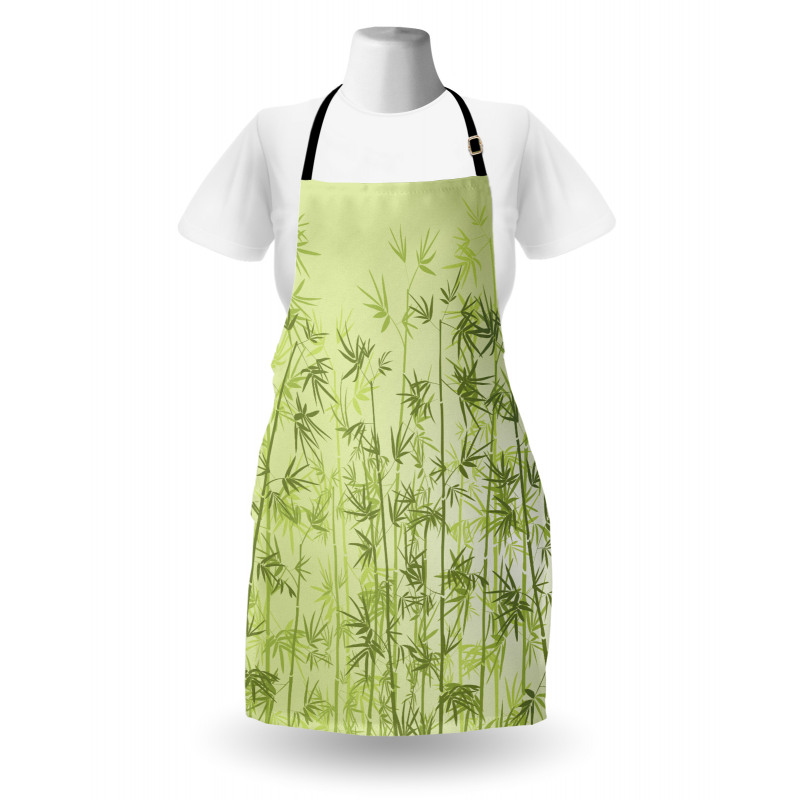 Tropical Growth Forest Apron