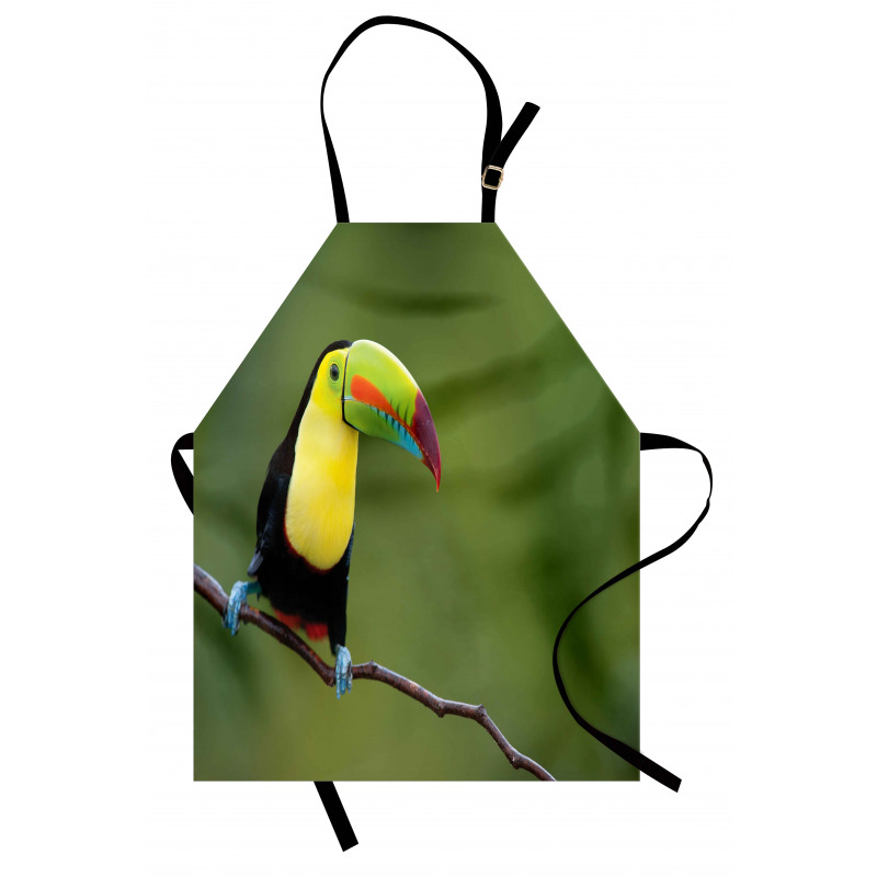 Keel Billed Toucan Apron