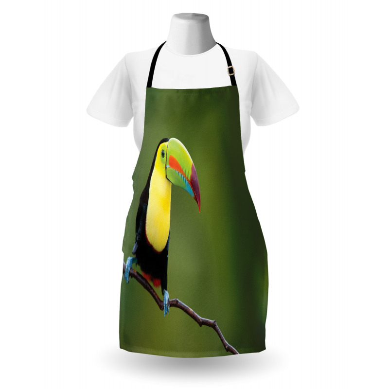 Keel Billed Toucan Apron