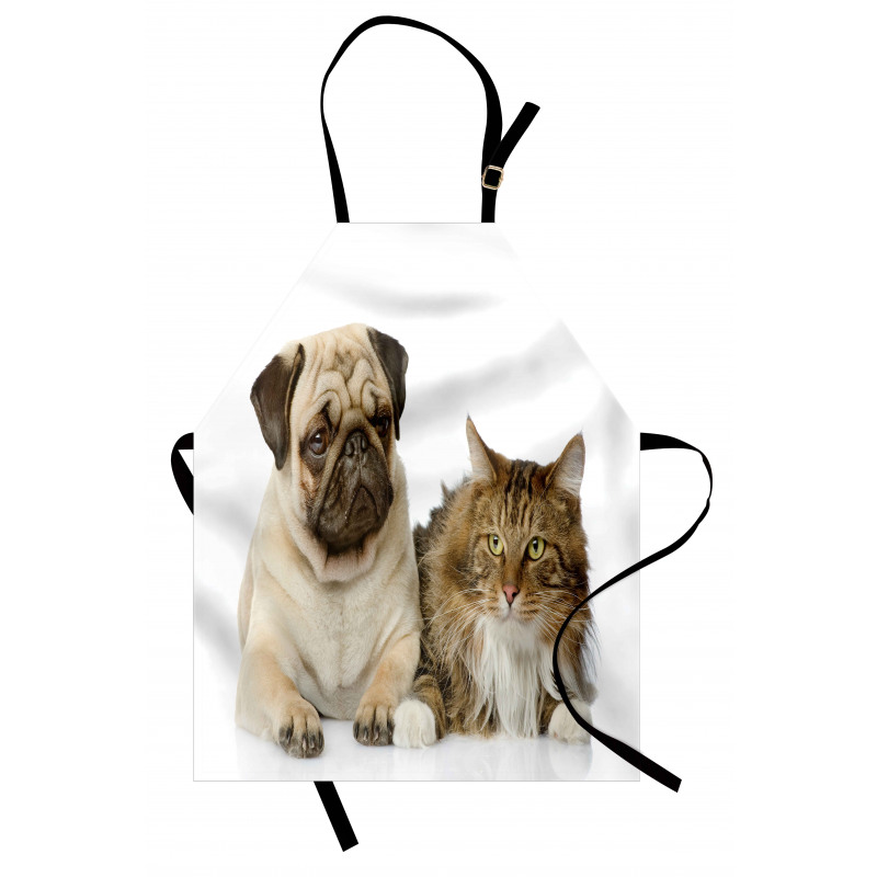 Pets Sitting Studio Shot Apron