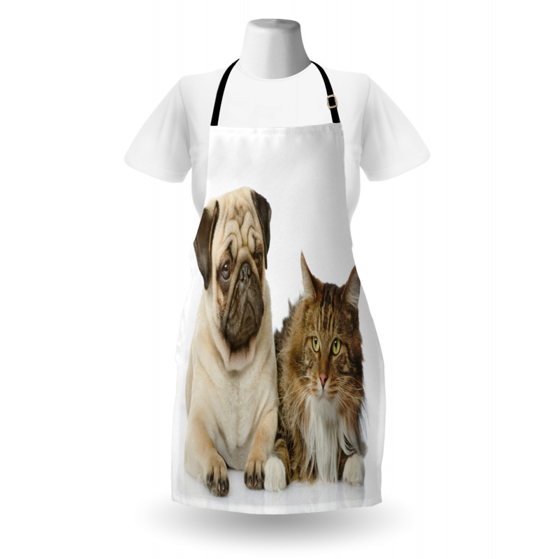 Pets Sitting Studio Shot Apron