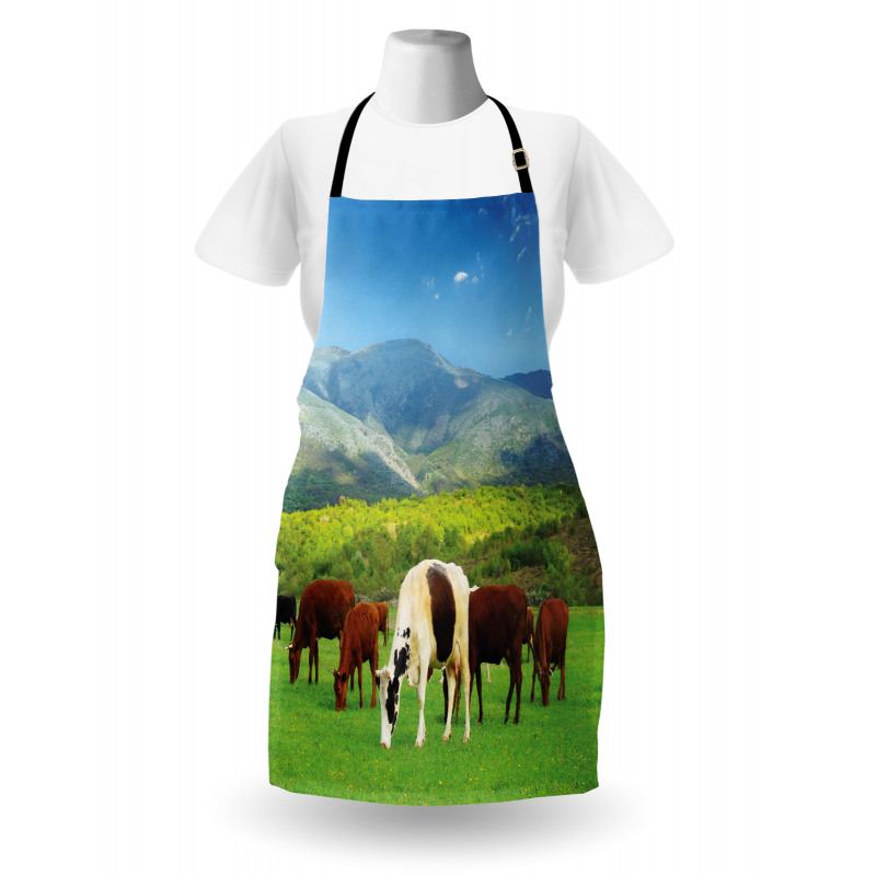 Spring Season Cottage Apron