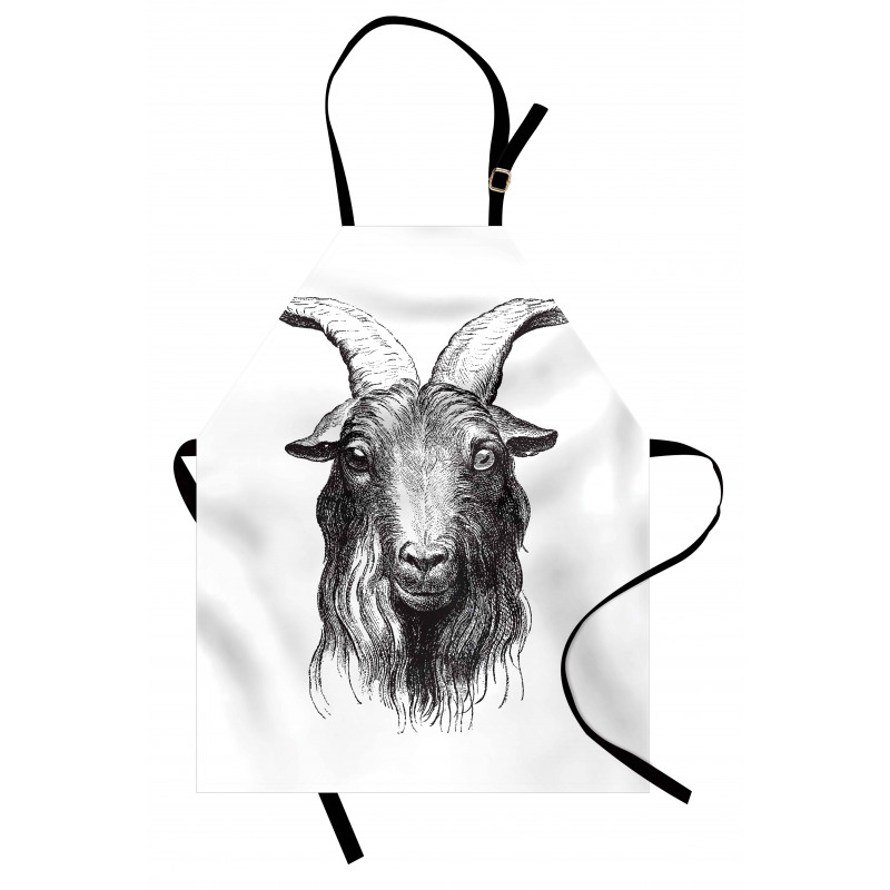 Wild Ruminant Mammal Head Apron