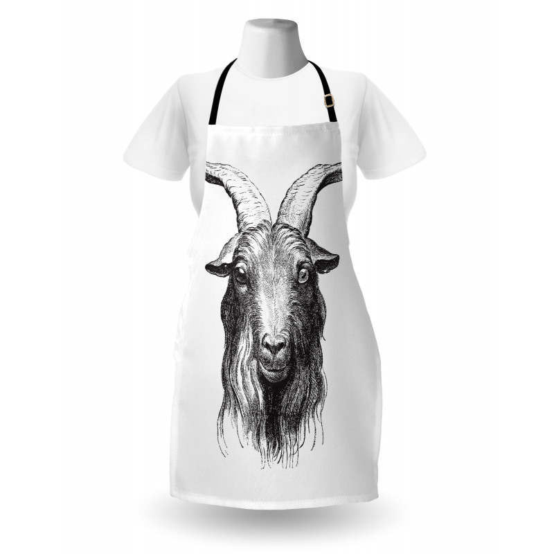 Wild Ruminant Mammal Head Apron