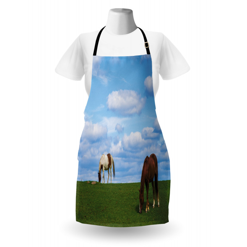 Horses Grazing Meadow Apron