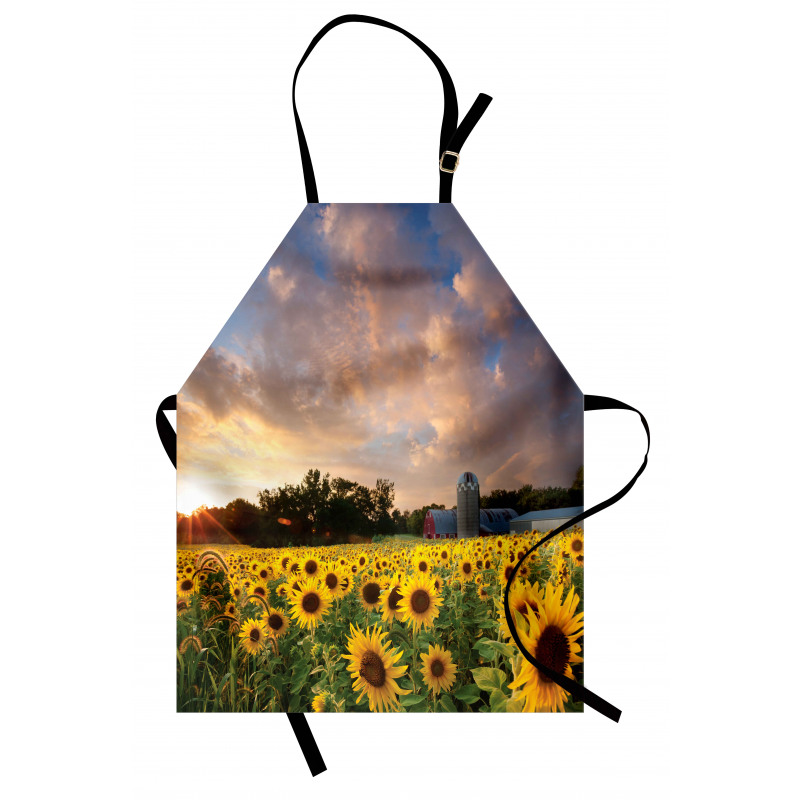 Sunflower Field Sky Apron