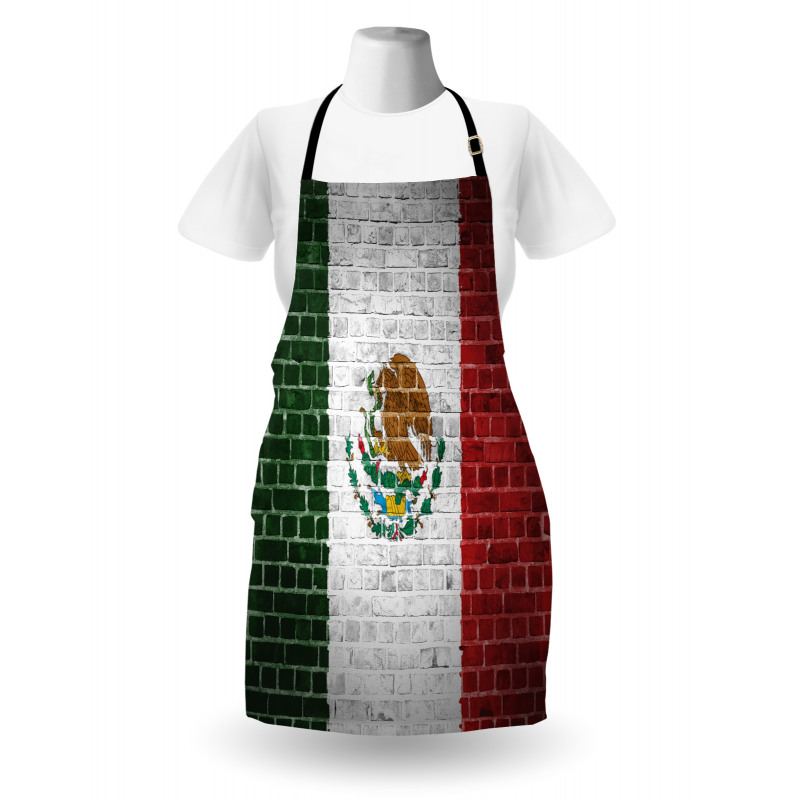 Ülkeler ve Şehirler Mutfak Önlüğü Meksika Bayrak Desenli