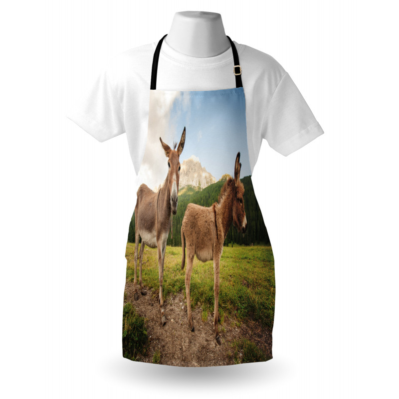 Dolomites Italy Countryside Apron