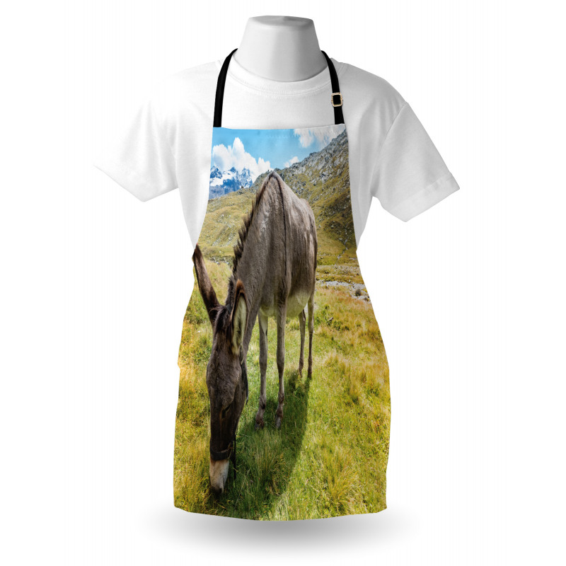 Donkey Eating Grass Mountain Apron