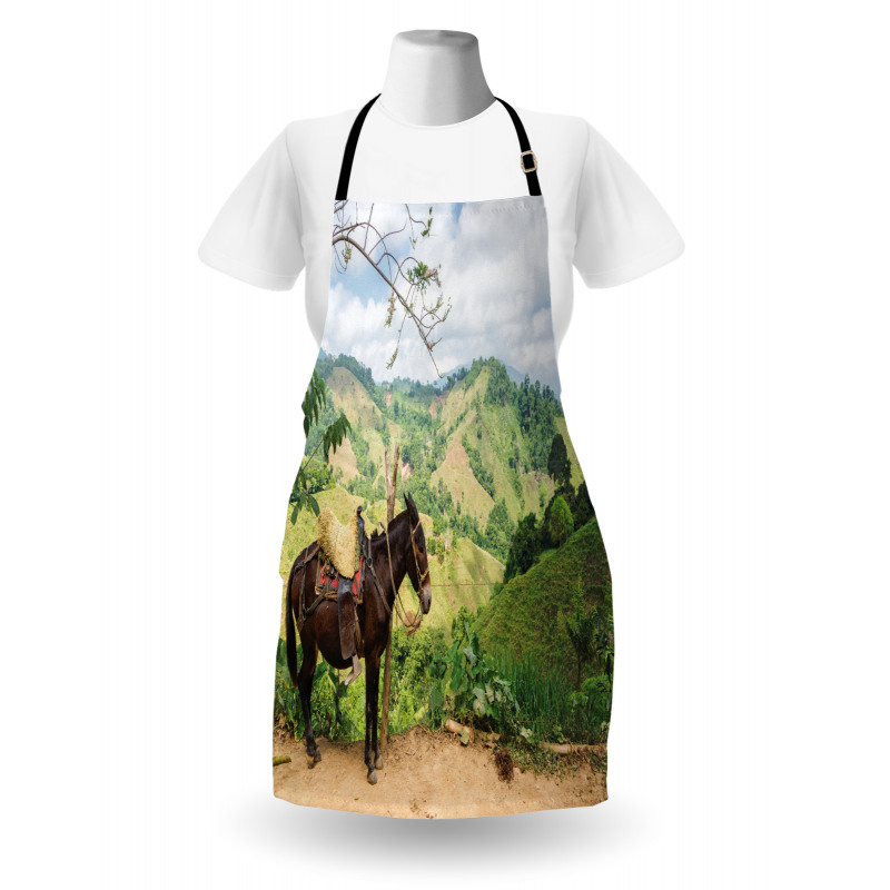 Rural ColumbiMountains Apron