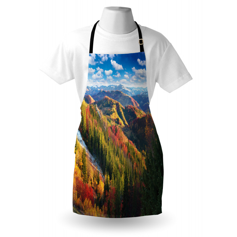 Carpathians in Autumn Apron