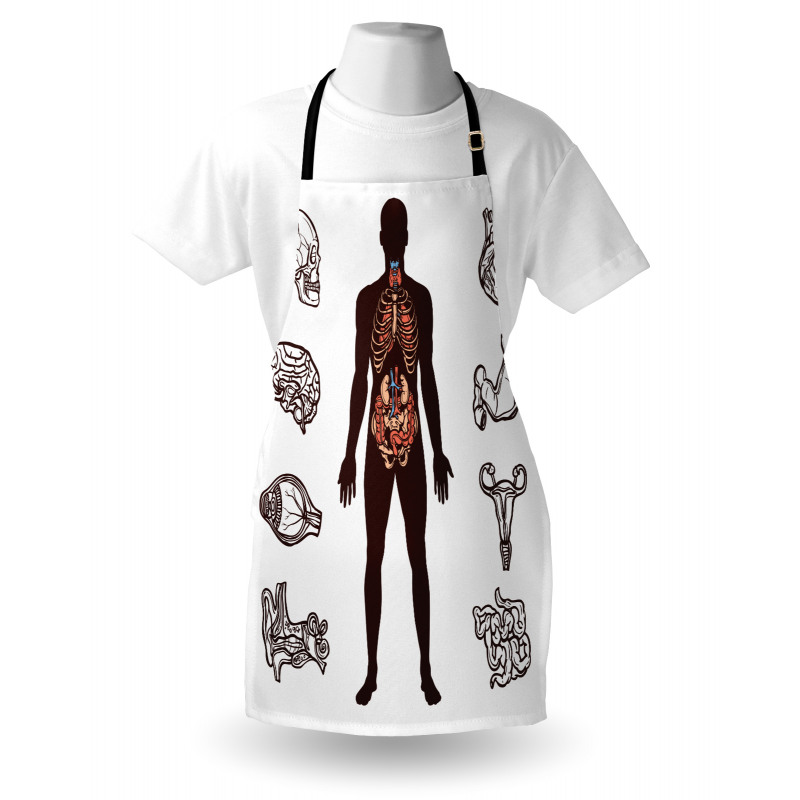 Organs Infographic Image Apron