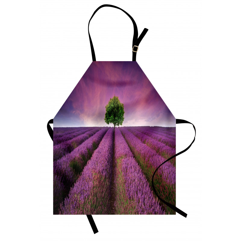 Lavender Fields and Tree Apron