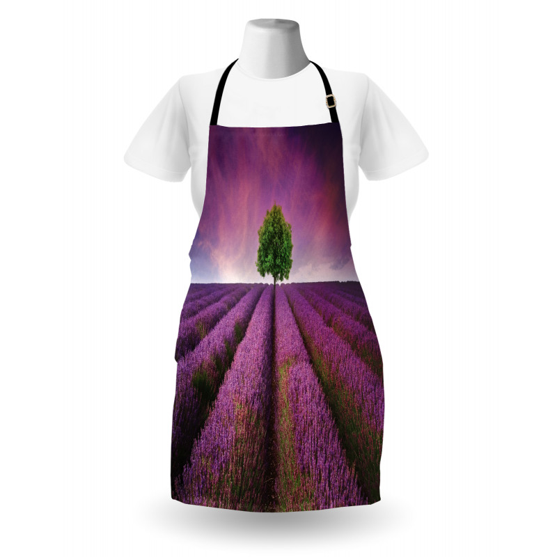 Lavender Fields and Tree Apron