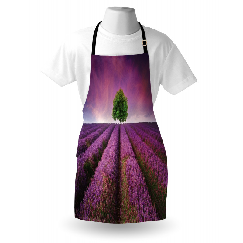 Lavender Fields and Tree Apron