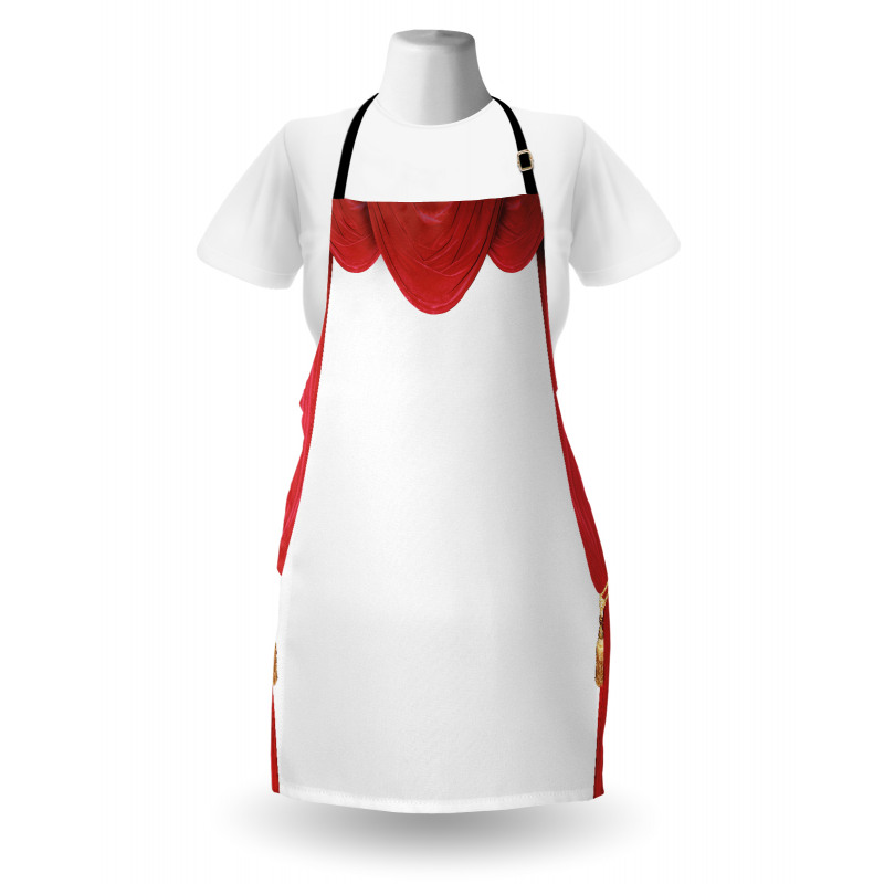 Classic Stage Curtains Open Apron