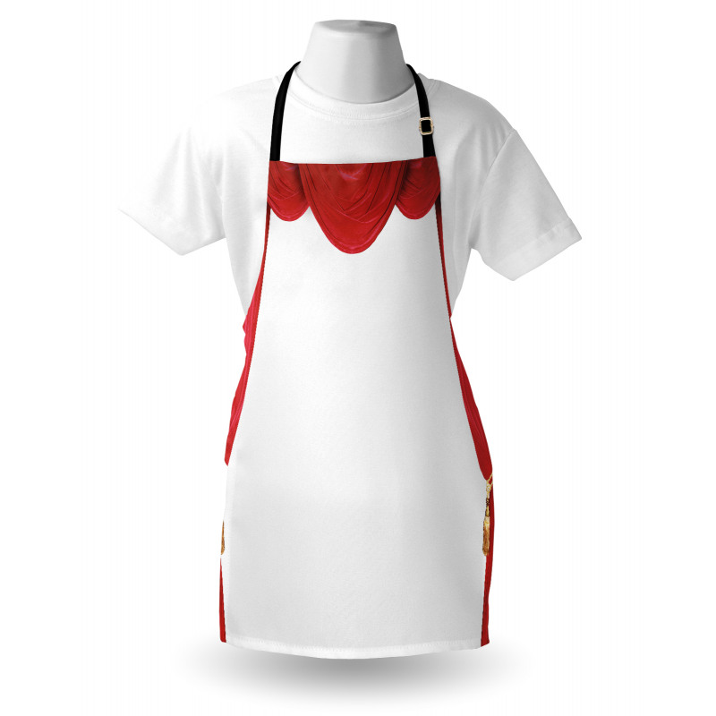 Classic Stage Curtains Open Apron