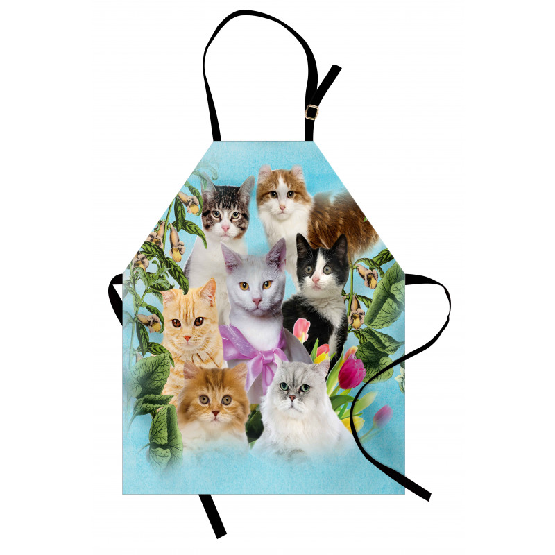 Cats Feline Domestic Apron