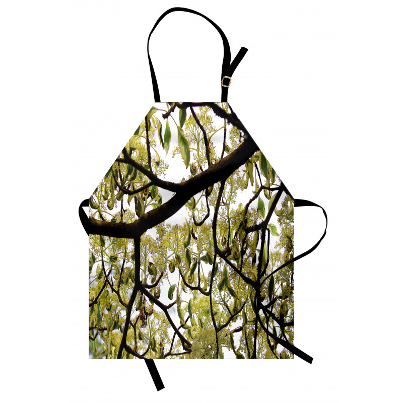 Close up Leafy Branches Photo Apron