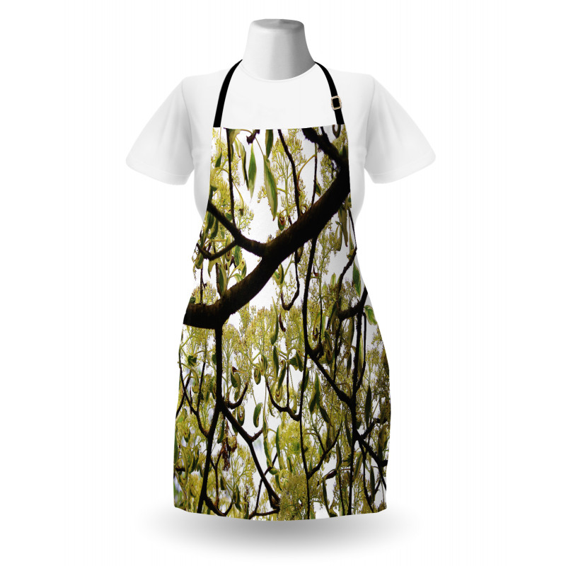 Close up Leafy Branches Photo Apron