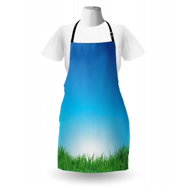 Sunburst Stripes with Grass Apron