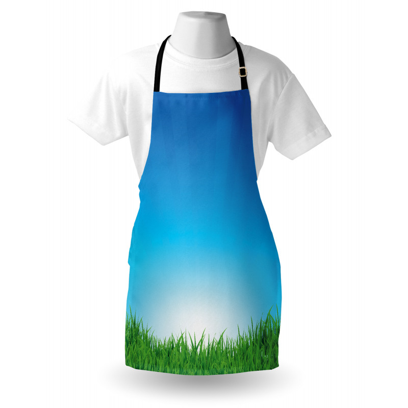 Sunburst Stripes with Grass Apron