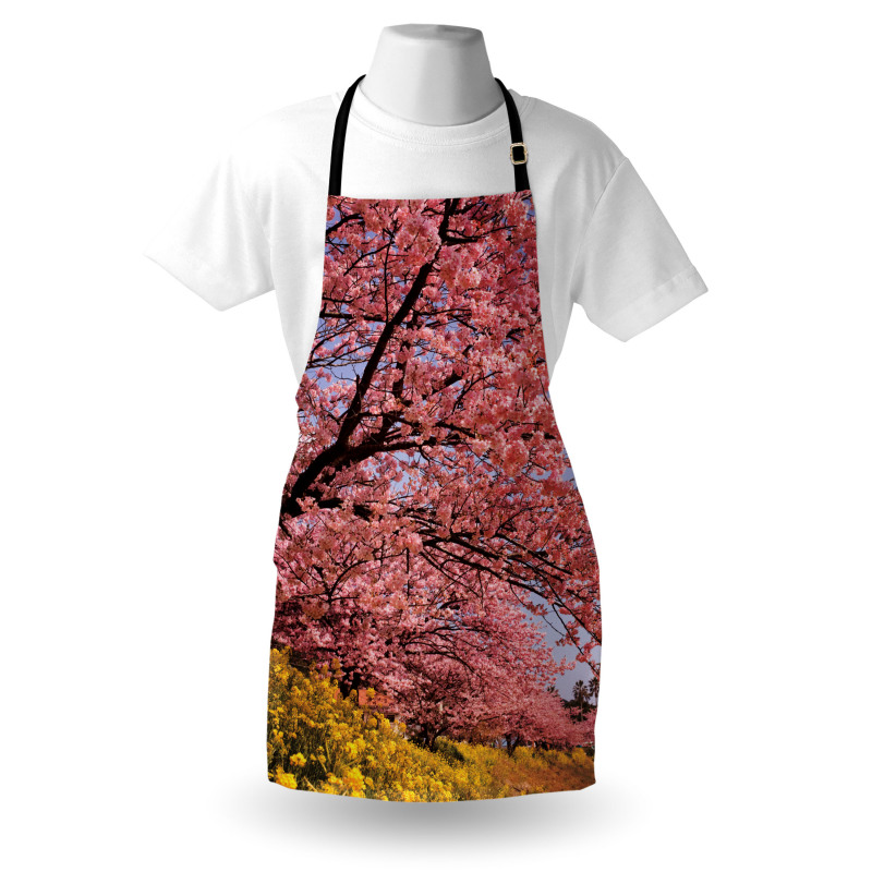 Bahar Mutfak Önlüğü Sakura Çiçeklerle Kaplı Dallar Fotoğrafı 