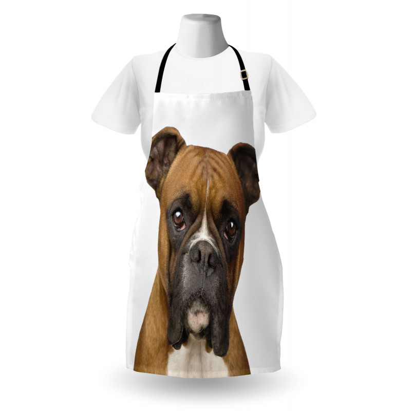 Purebred Dog Front View Apron