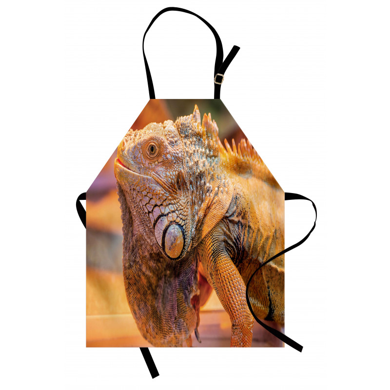 Caribbean Arboreal Animal Apron