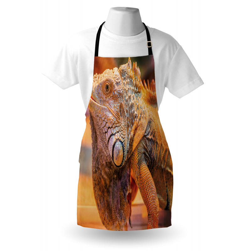 Caribbean Arboreal Animal Apron