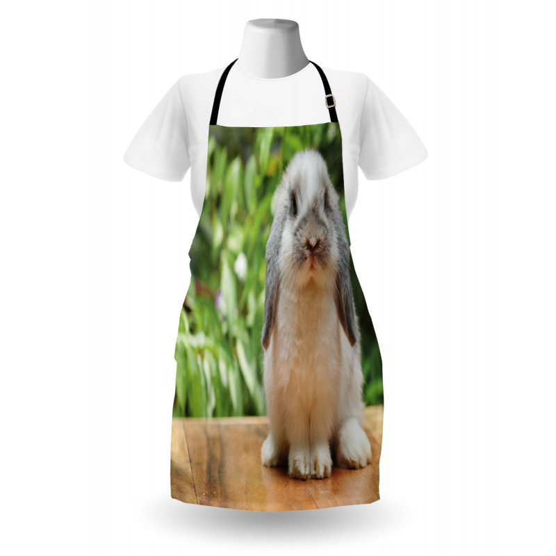 Photo of Holland Lop Rabbit Apron