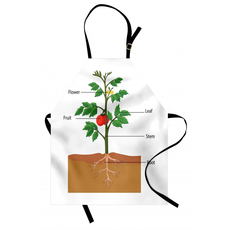 Parts of a Tomato Plant Apron