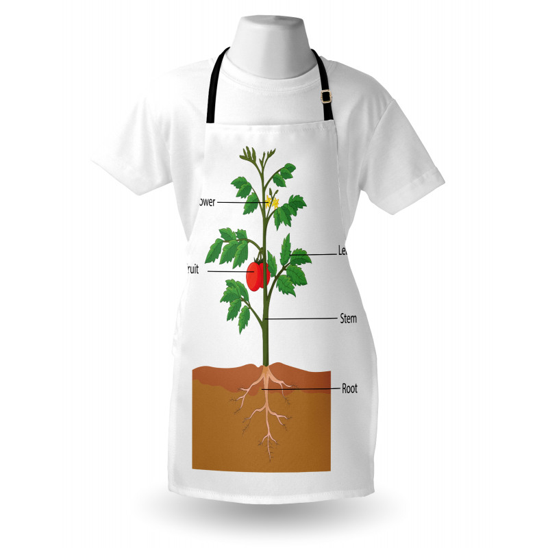 Parts of a Tomato Plant Apron