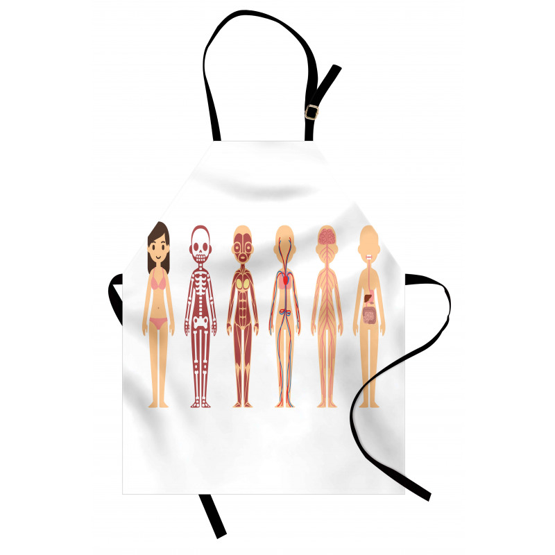 Female Body Anatomy Chart Apron