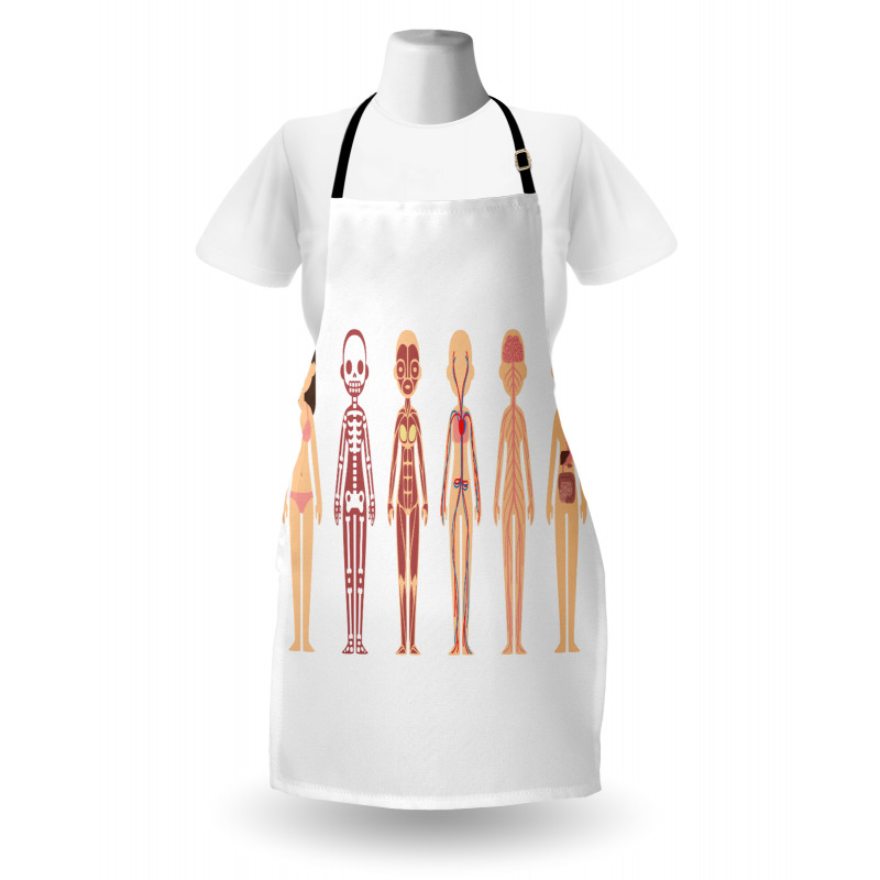 Female Body Anatomy Chart Apron