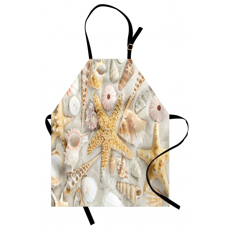 Assorted Seashells Sand Beach Apron