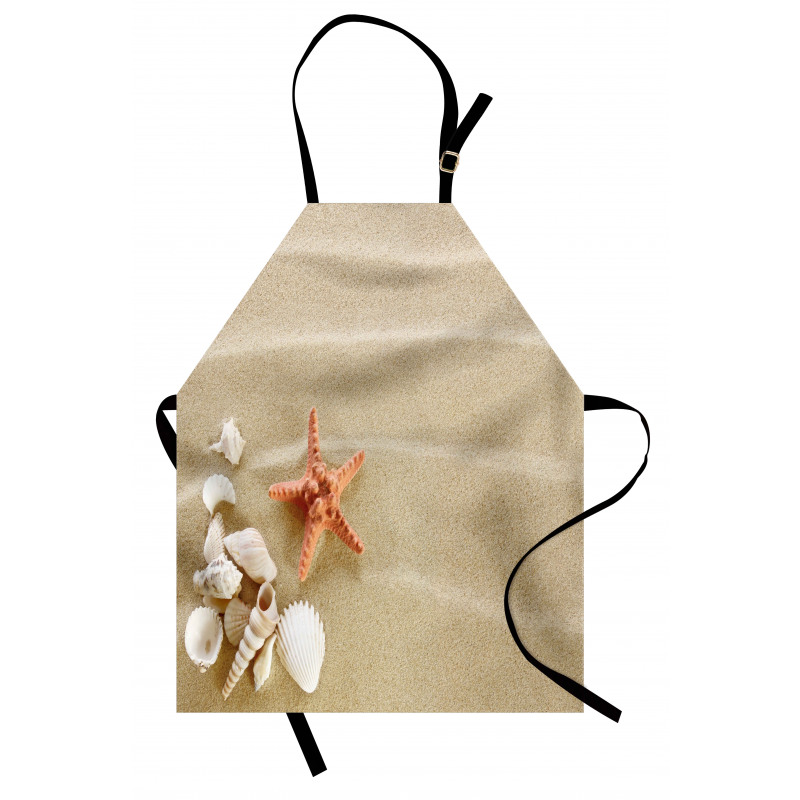 Exotic Seashells with Sand Apron