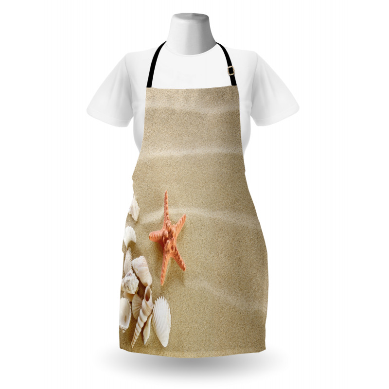 Exotic Seashells with Sand Apron