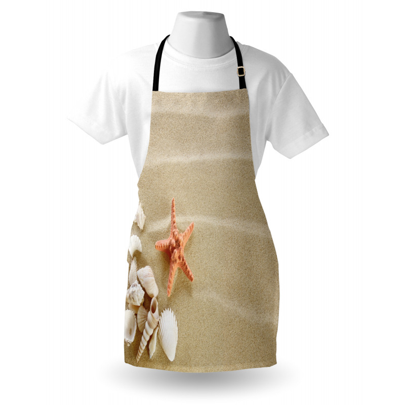 Exotic Seashells with Sand Apron