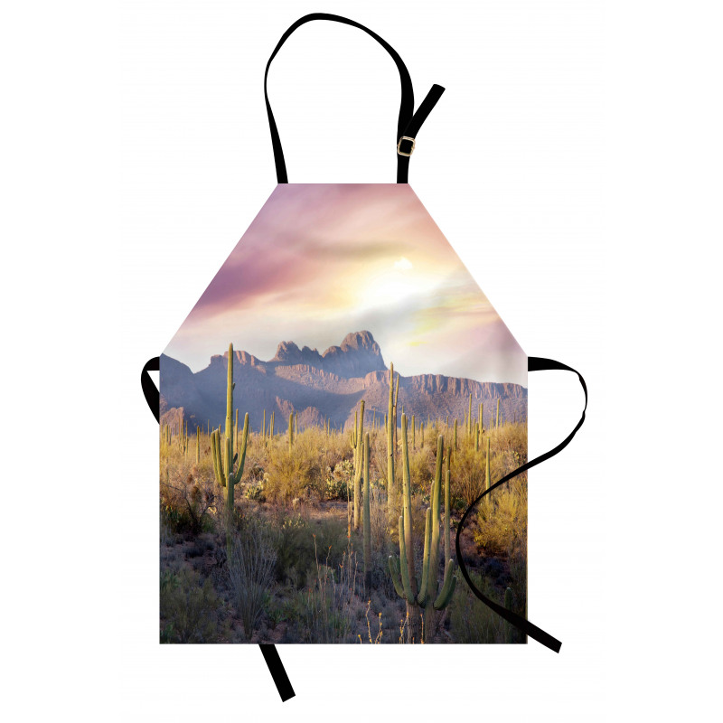 Saguaro Cactus and Mountain Apron