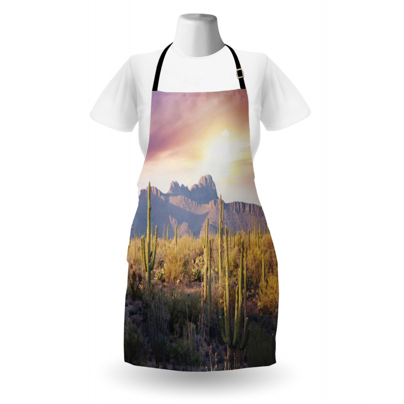 Saguaro Cactus and Mountain Apron