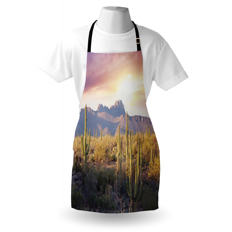 Saguaro Cactus and Mountain Apron