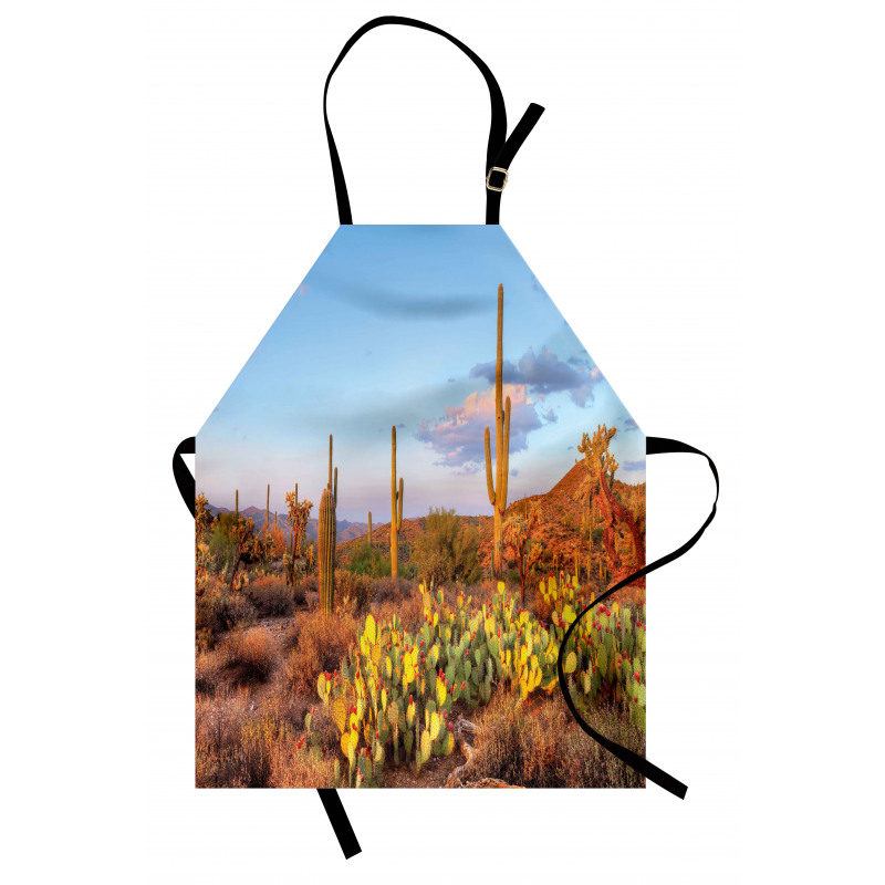 Cacti in Sonoran Desert Apron