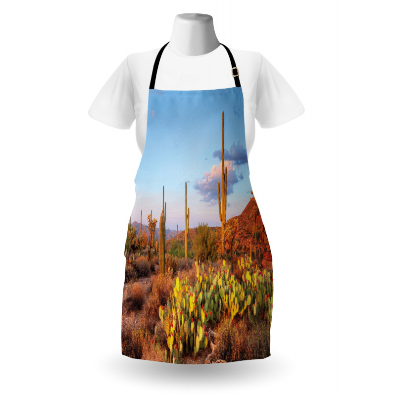 Cacti in Sonoran Desert Apron