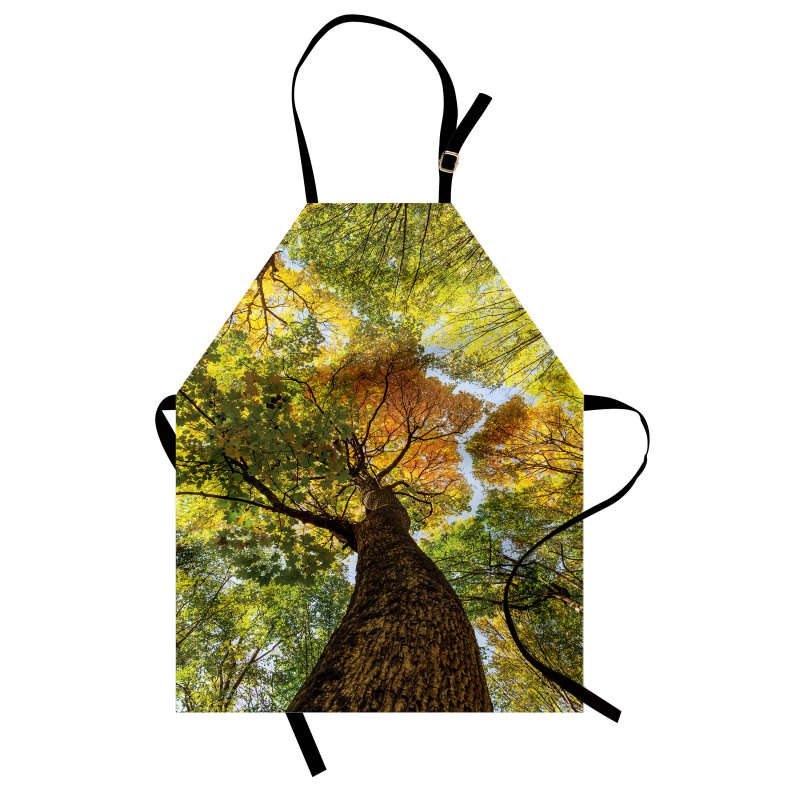 Autumn Tree of Nature Photo Apron