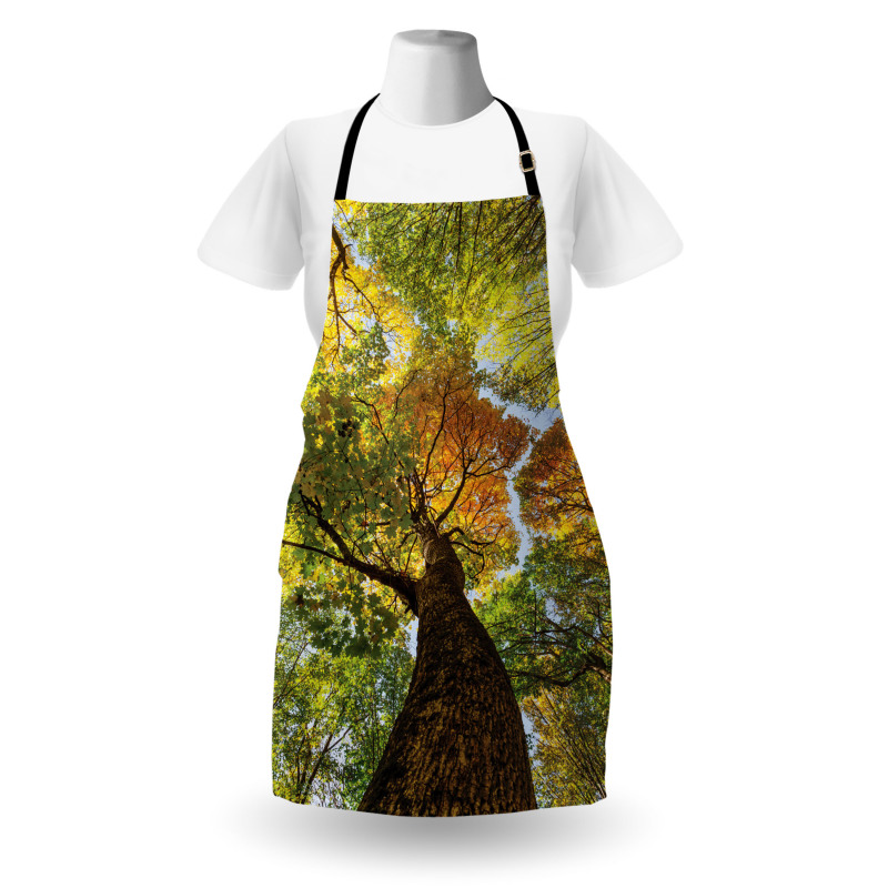 Autumn Tree of Nature Photo Apron