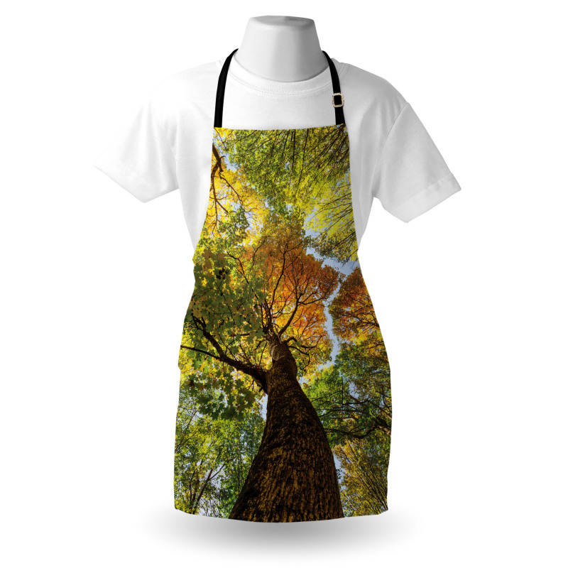 Autumn Tree of Nature Photo Apron