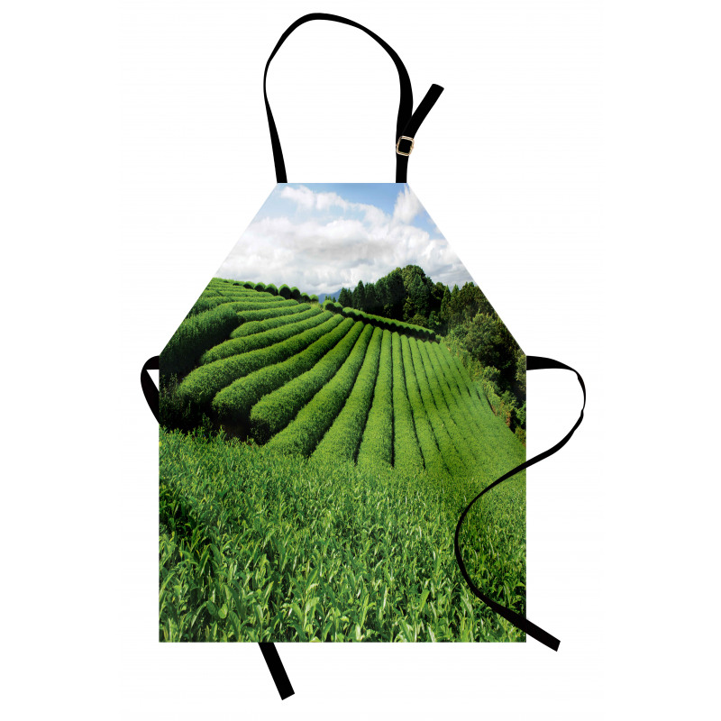 Sunny Landscape Tea Fields Apron